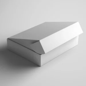 Blank Mailer Box